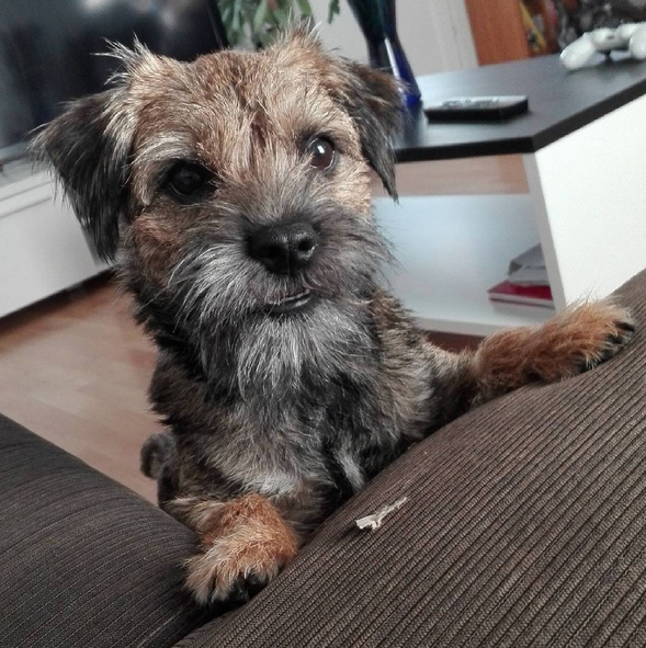 Screen Shot 2015-10-09 at 01.27.52