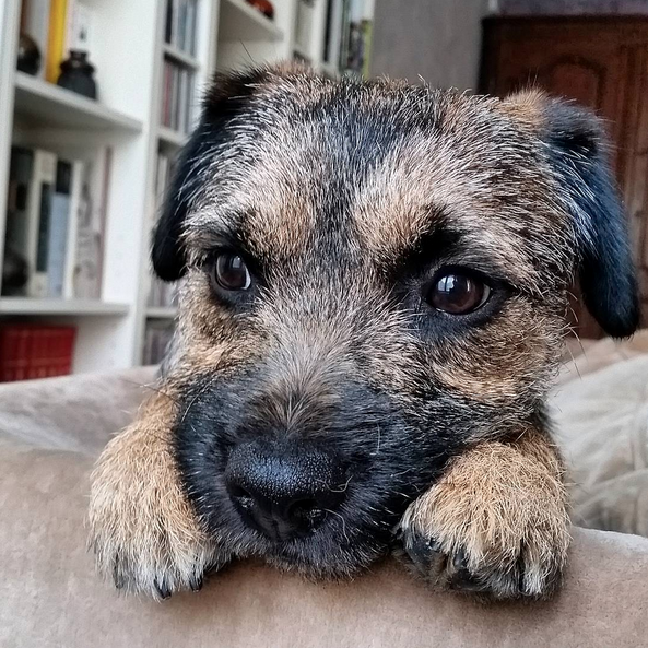 Screen Shot 2015-10-09 at 01.07.38