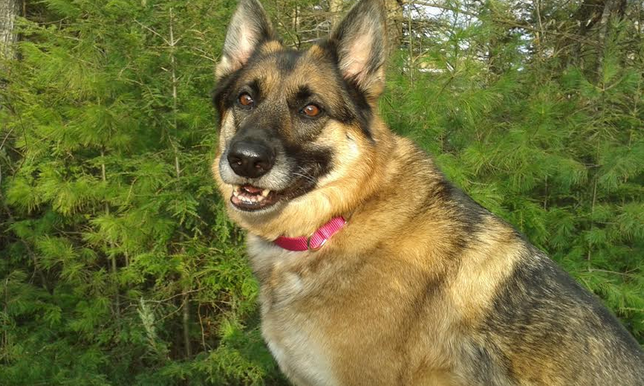 Screen Shot 2015-05-22 at 14.53.59