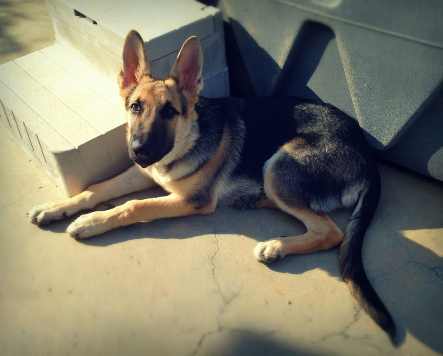 Screen Shot 2015-05-22 at 14.45.11