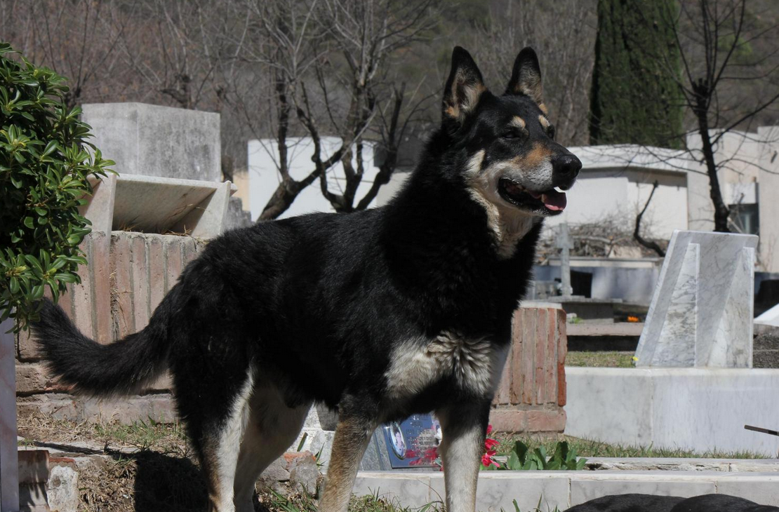 Screen Shot 2015-05-22 at 14.55.38