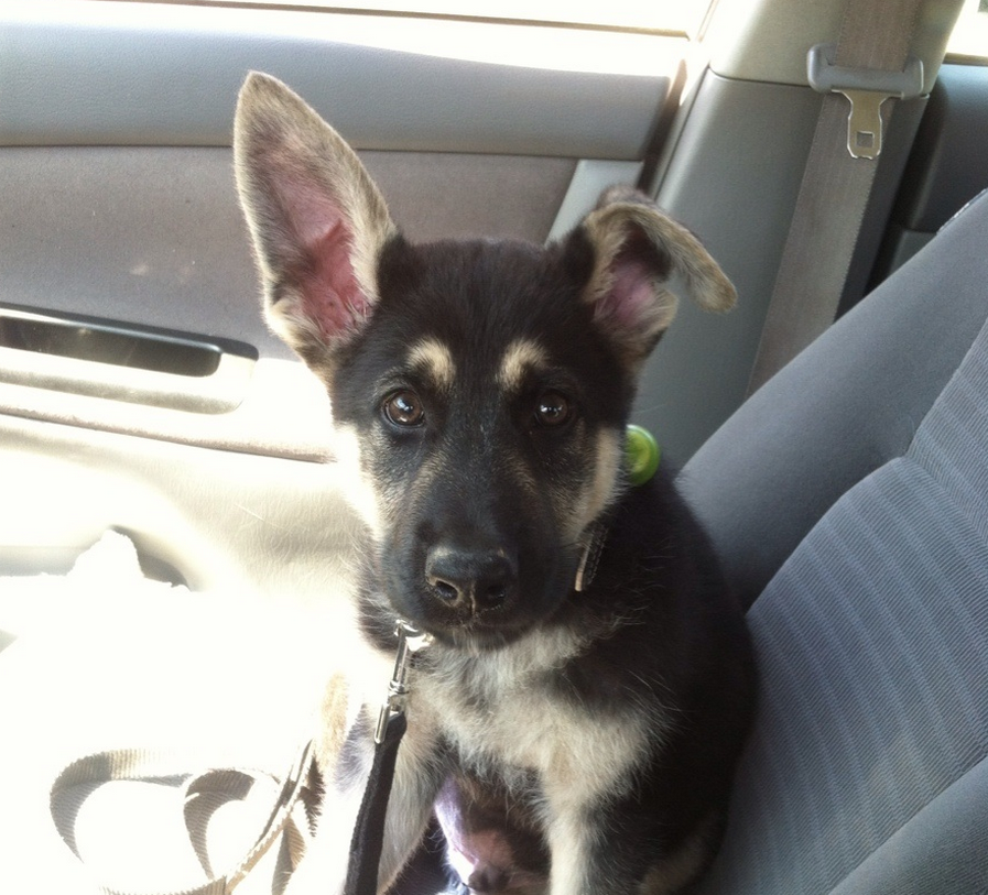 Screen Shot 2015-05-22 at 14.50.27