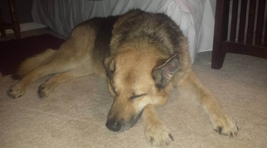 Screen Shot 2015-05-22 at 14.51.28