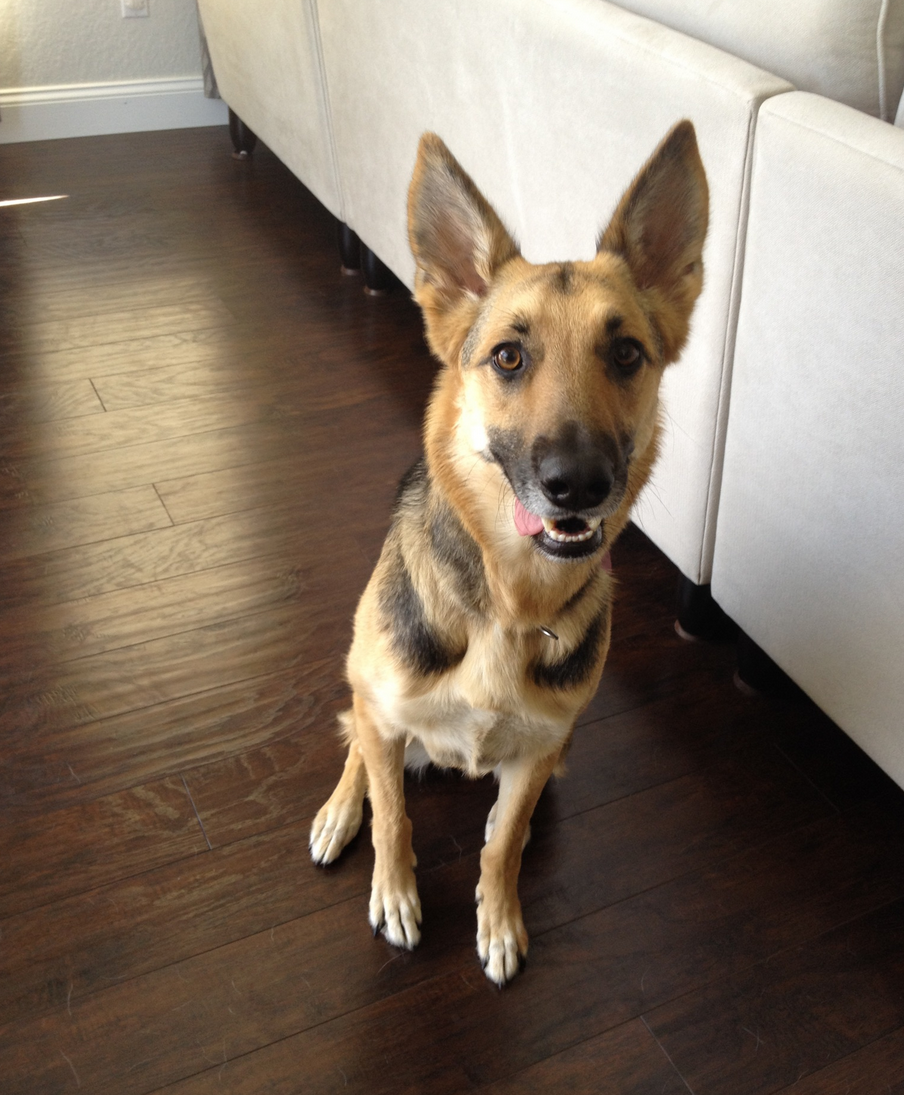 Screen Shot 2015-05-22 at 14.56.21