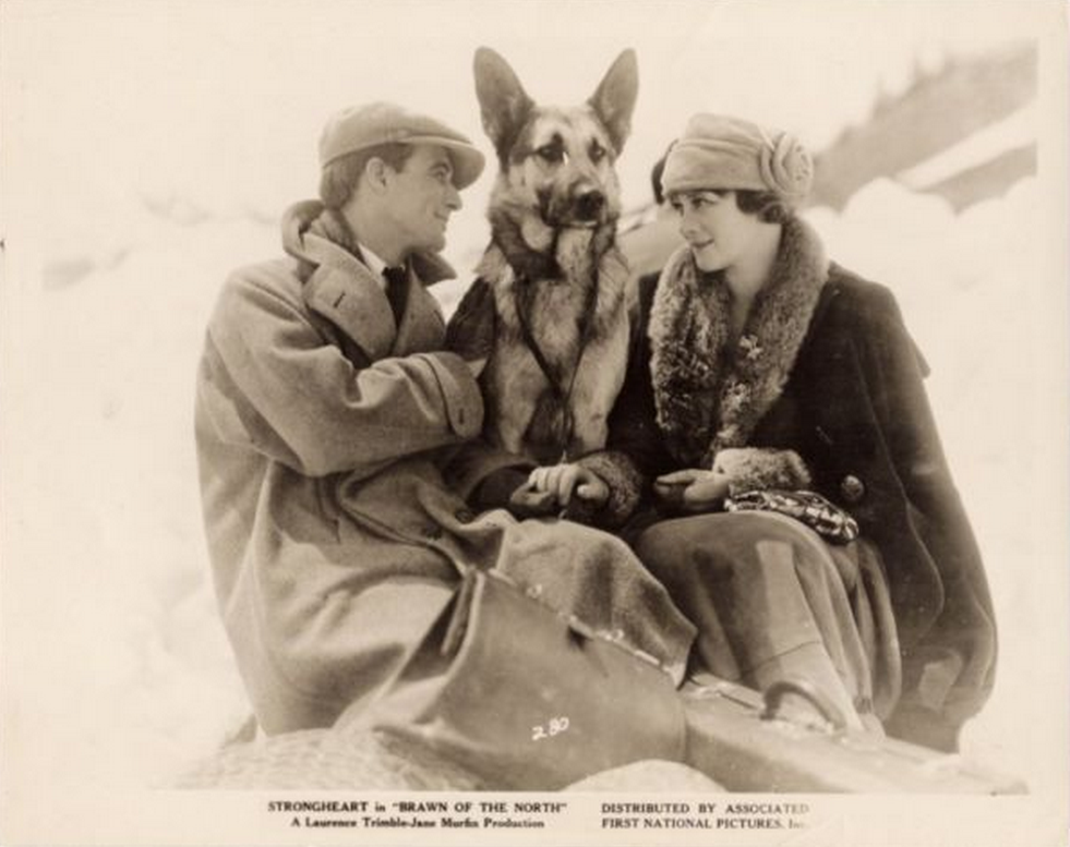 Screen Shot 2015-05-22 at 14.54.49