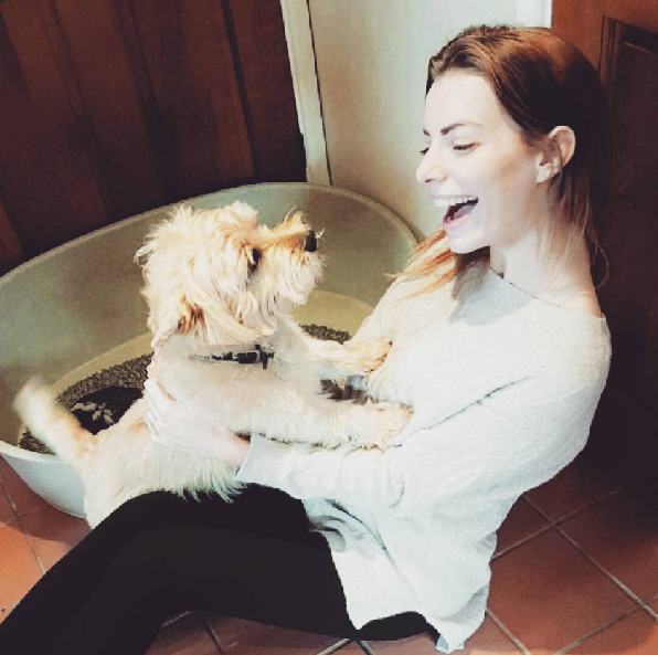 dog-fireworks-tips-3