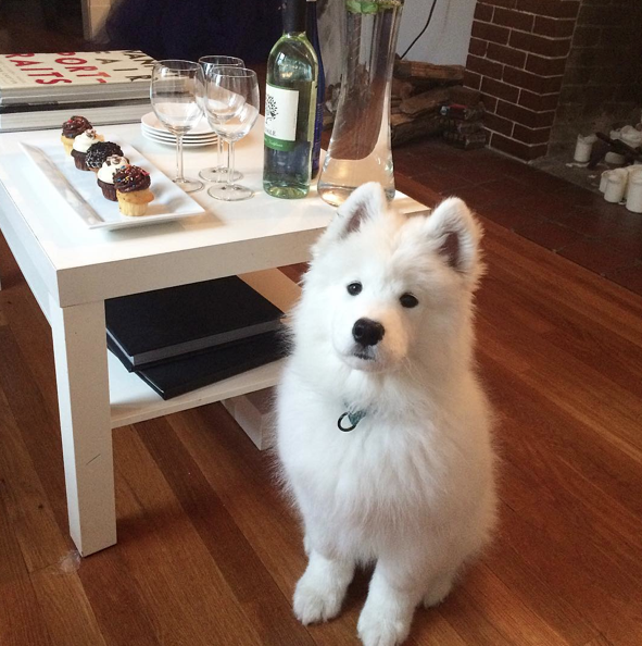 Screen Shot 2015-08-21 at 12.36.40