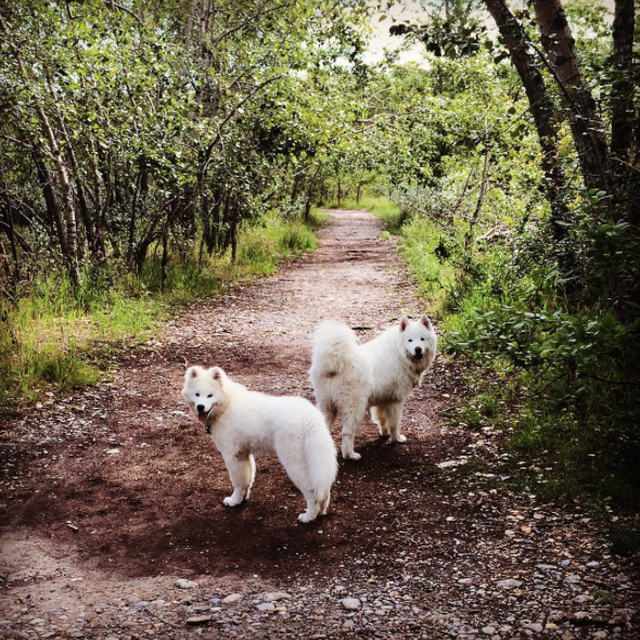 Screen Shot 2015-08-21 at 12.08.47