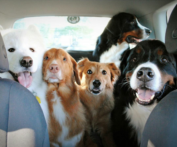 Screen Shot 2015-08-21 at 12.02.36