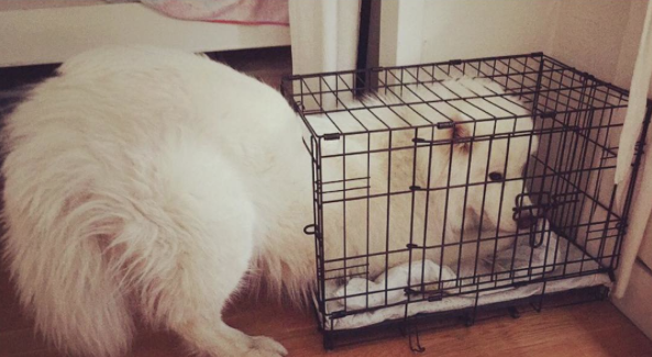 Screen Shot 2015-08-21 at 12.08.15