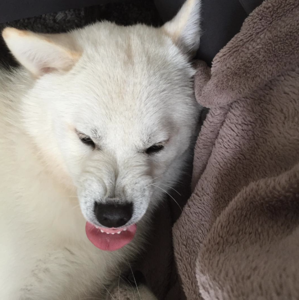 Screen Shot 2015-08-21 at 12.33.00