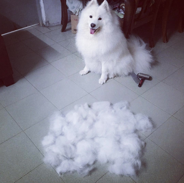 Screen Shot 2015-08-21 at 12.04.41