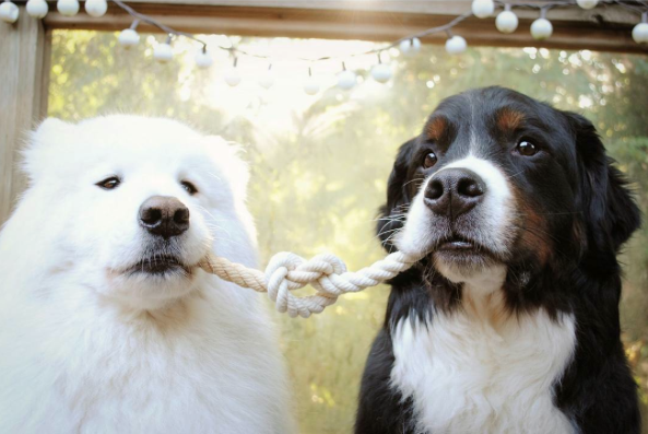 Screen Shot 2015-08-21 at 12.09.28