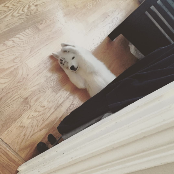 Screen Shot 2015-08-21 at 12.06.51