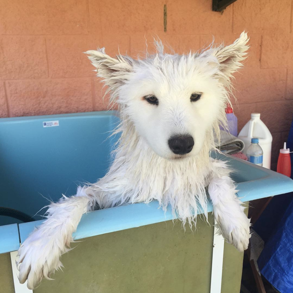 Screen Shot 2015-08-21 at 12.00.17