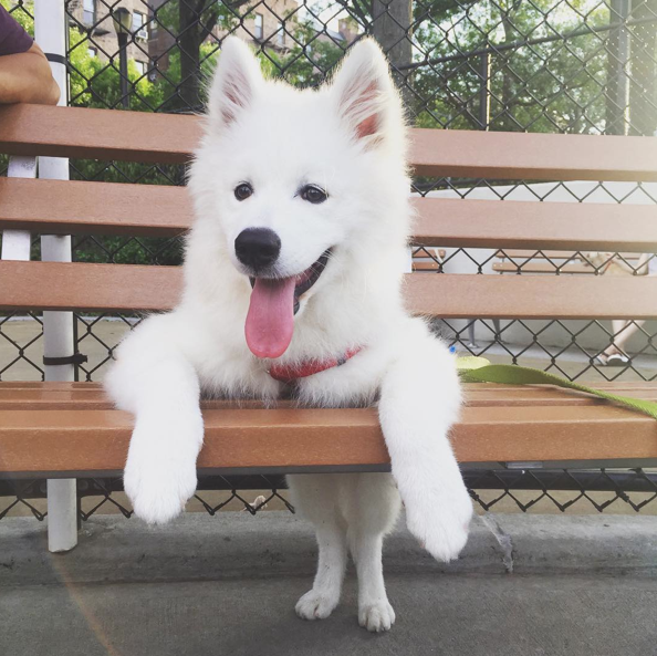 Screen Shot 2015-08-21 at 12.01.00