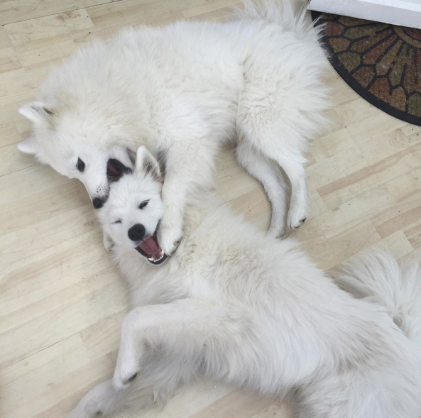 Screen Shot 2015-08-21 at 12.14.09