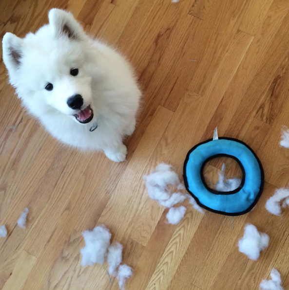 Screen Shot 2015-08-21 at 12.35.10