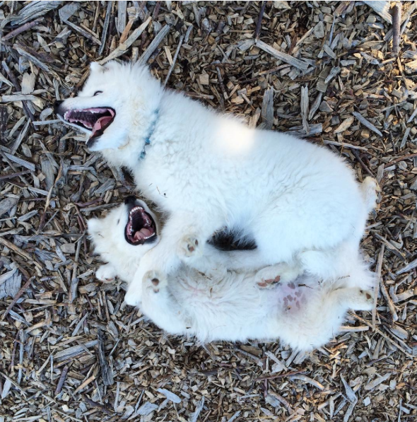 Screen Shot 2015-08-21 at 12.03.05