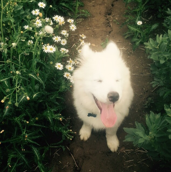 Screen Shot 2015-08-21 at 12.15.14