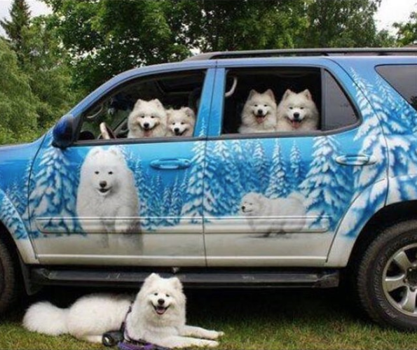 Screen Shot 2015-08-21 at 12.07.28