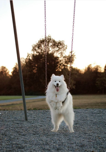 Screen Shot 2015-08-21 at 12.10.06