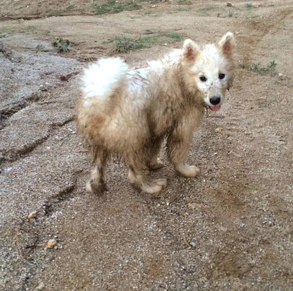 Screen Shot 2015-08-21 at 12.01.41