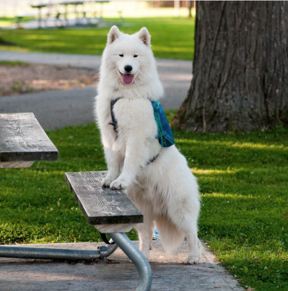 Screen Shot 2015-08-21 at 12.10.51