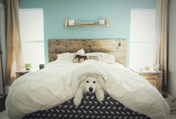 Screen Shot 2015-08-21 at 12.03.43