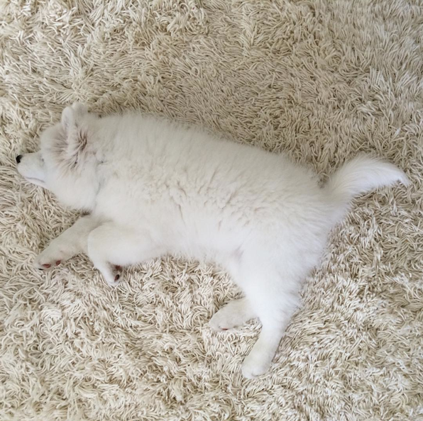 Screen Shot 2015-08-21 at 12.13.43