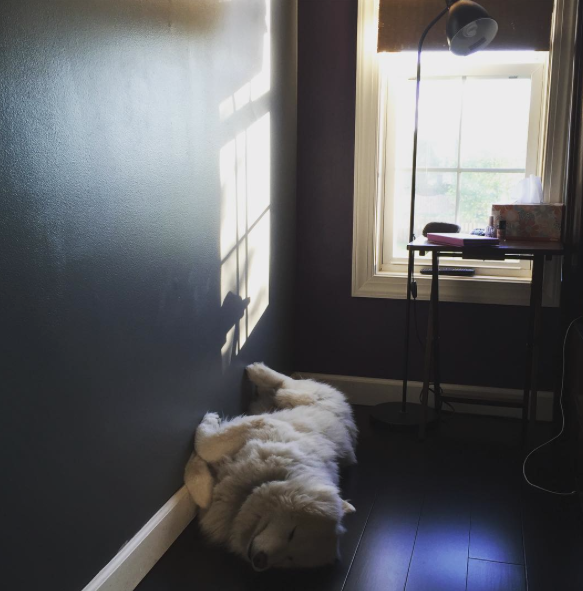 Screen Shot 2015-08-21 at 12.05.48