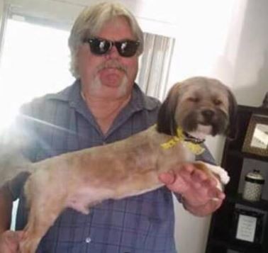 abandon-chien-pleur-sauvetage-5