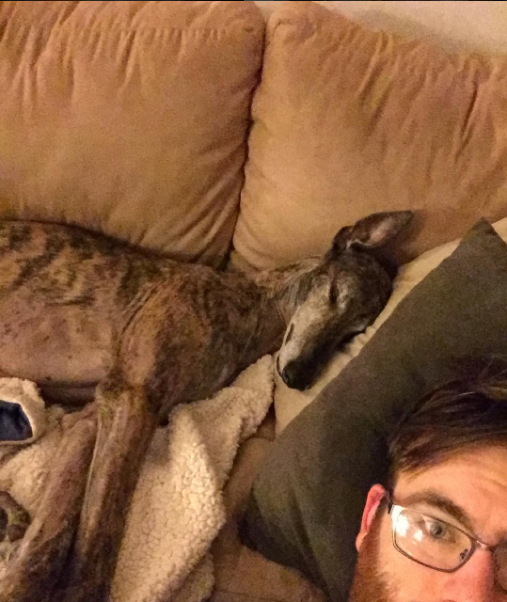 mosley-greyhound-rescue-7