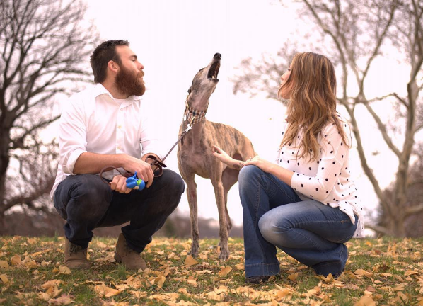 mosley-greyhound-rescue-1