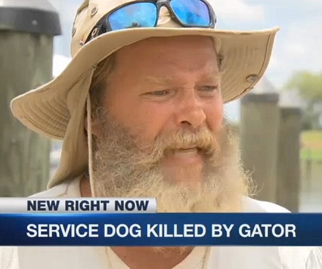 alligator-precious-veteran-4