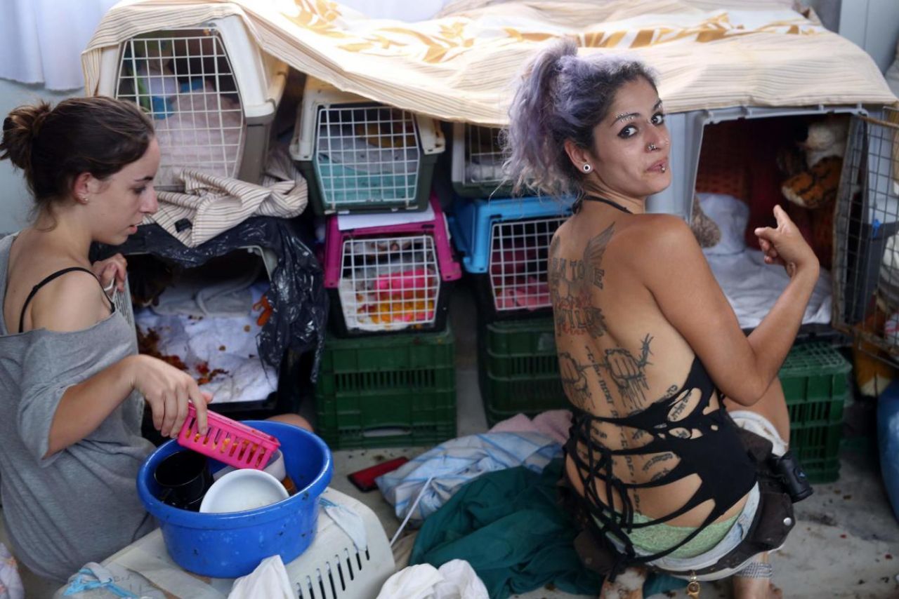 sanctuaire-chauve-souris-7