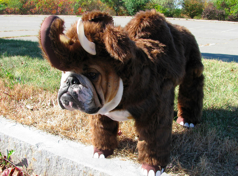 Screen Shot 2015-04-10 at 18.39.42