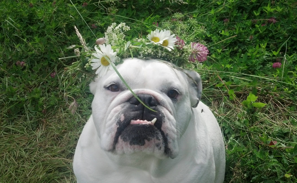 Screen Shot 2015-04-10 at 18.37.35