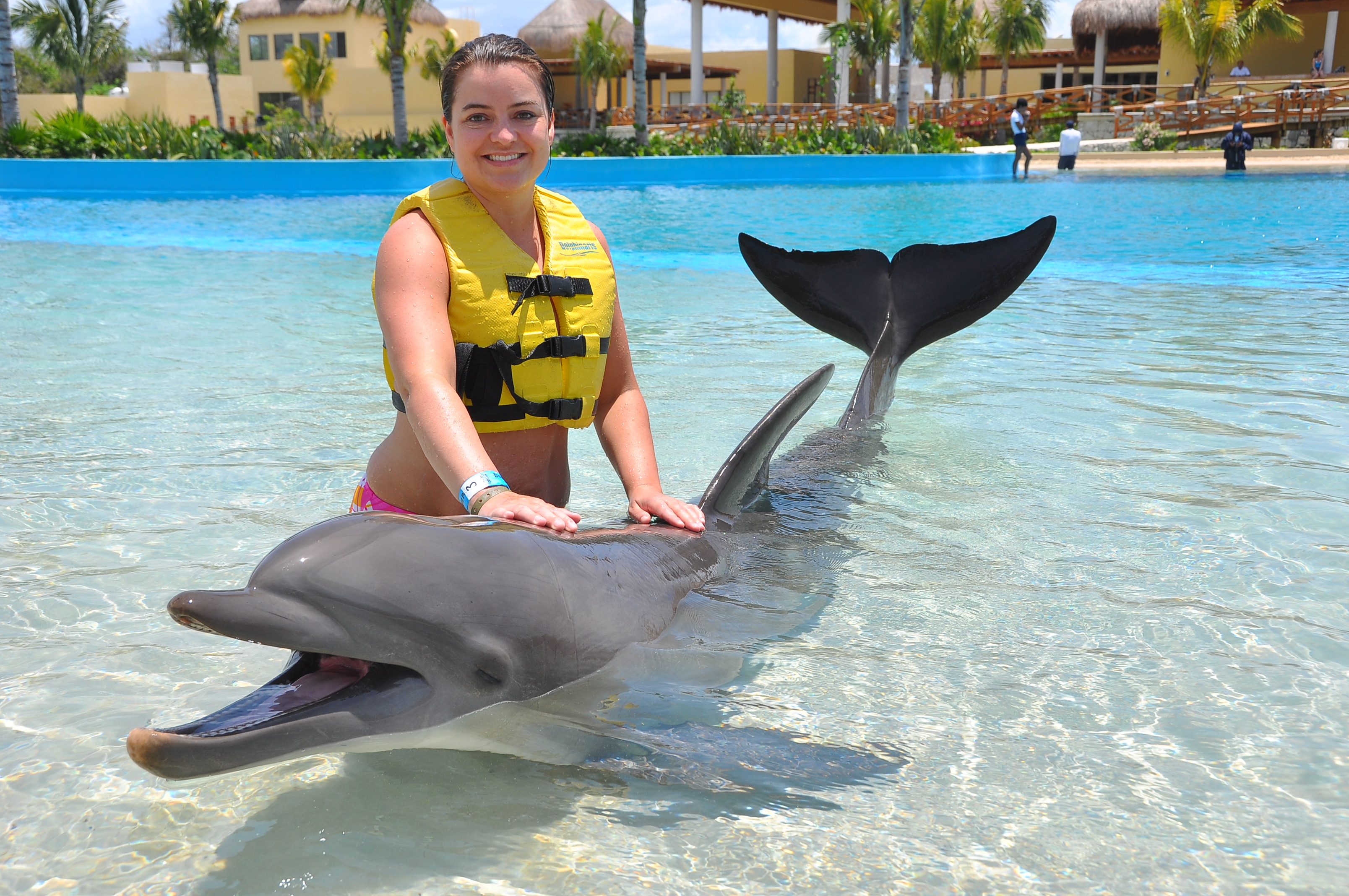 parc-dauphins-arizona-3