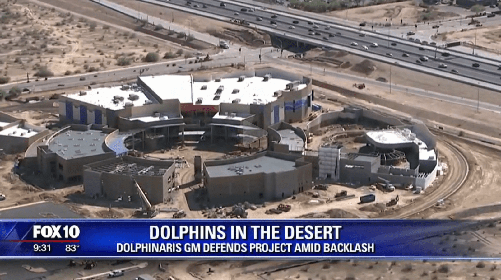 dauphins-arizona-1 (1)
