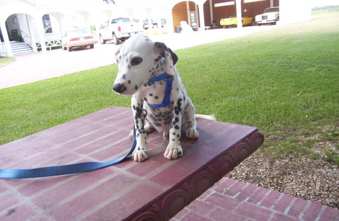 Screen Shot 2015-07-24 at 20.19.28