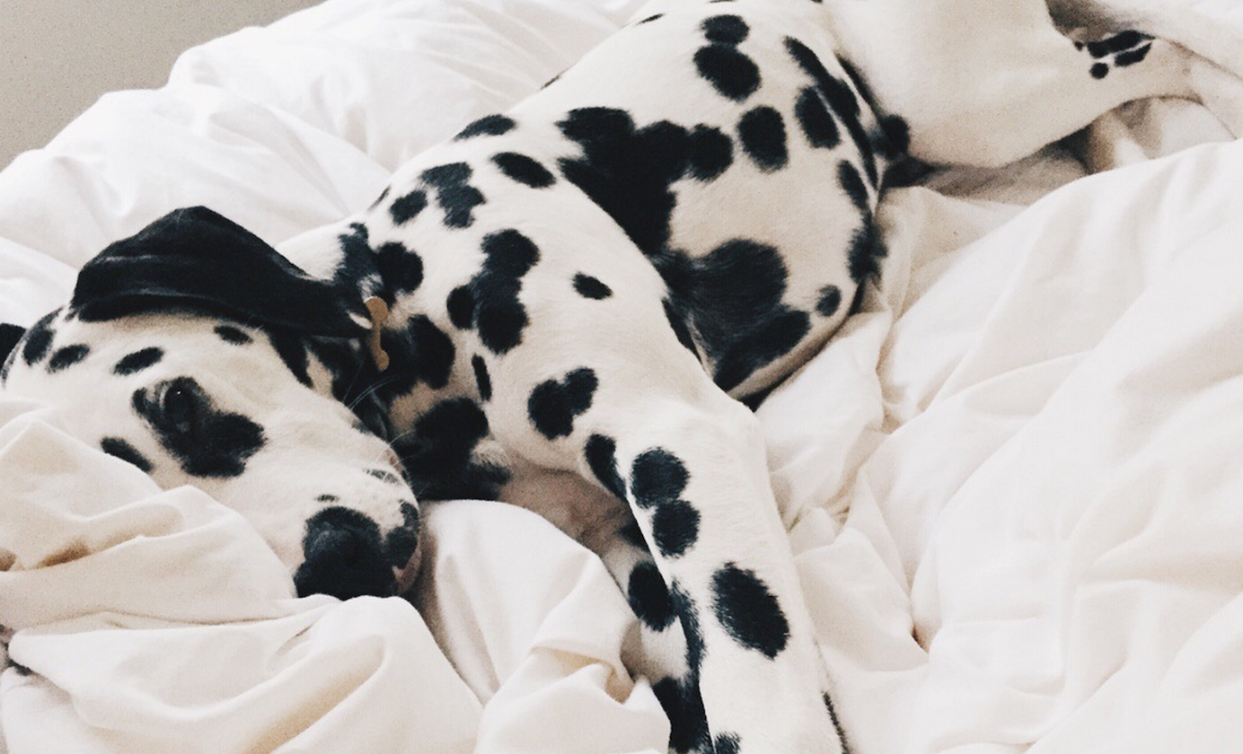 Screen Shot 2015-07-24 at 20.15.02