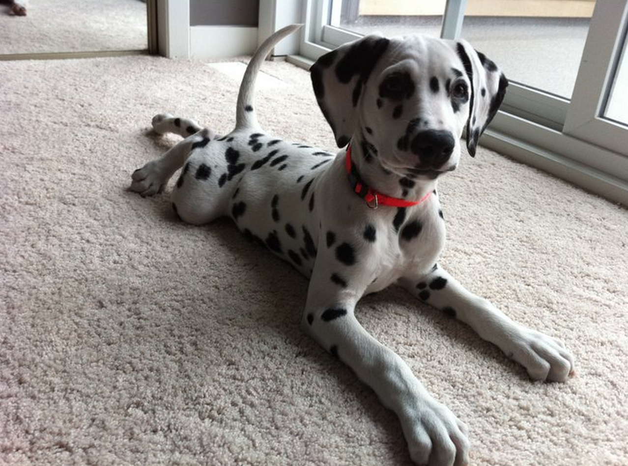 Screen Shot 2015-07-24 at 20.12.51