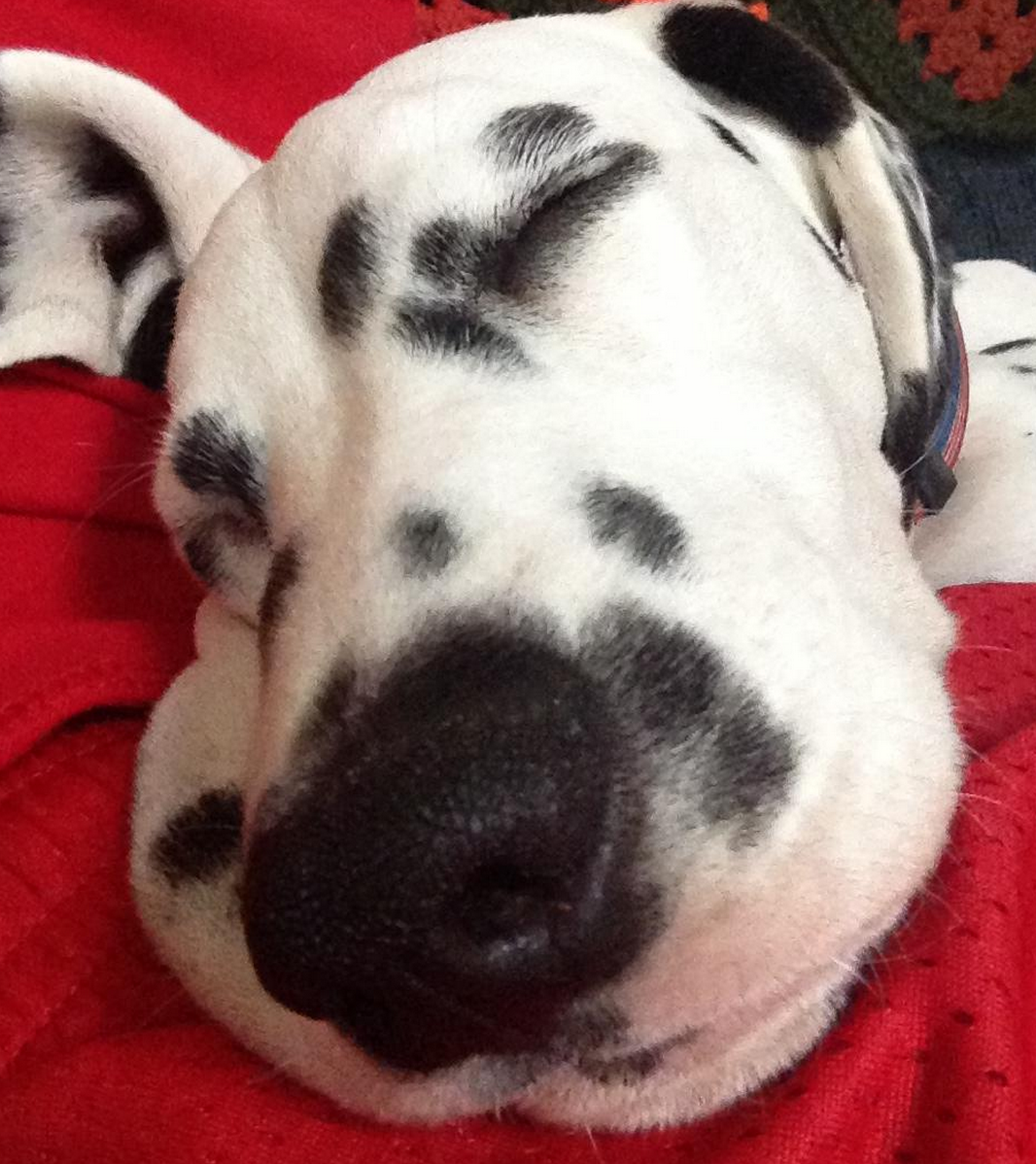 Screen Shot 2015-07-24 at 20.23.28