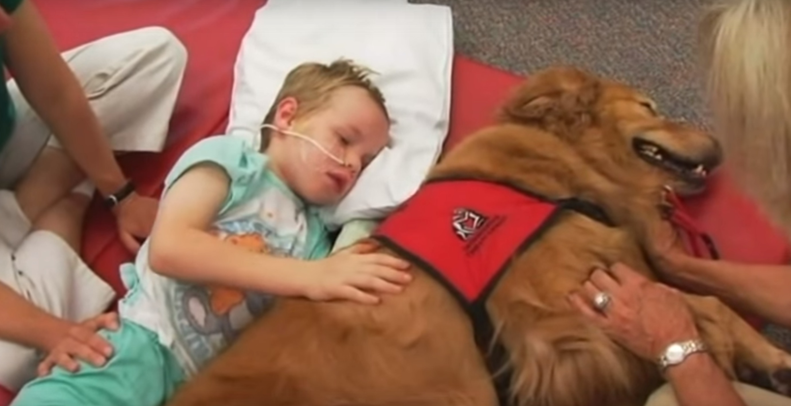 enfant-handicap-golden-miracle-10