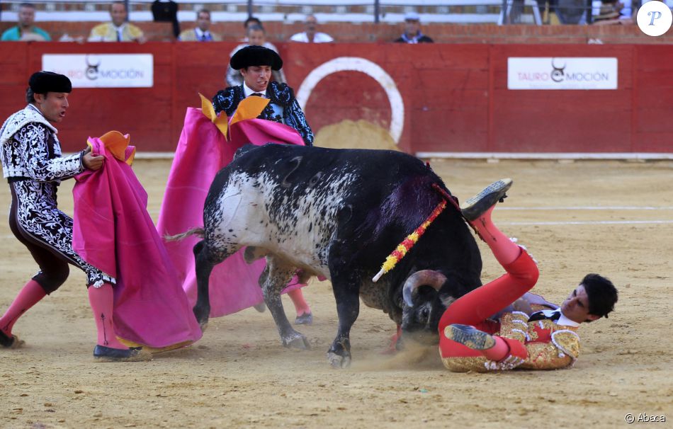 victor-barrio-corrida-torero-2