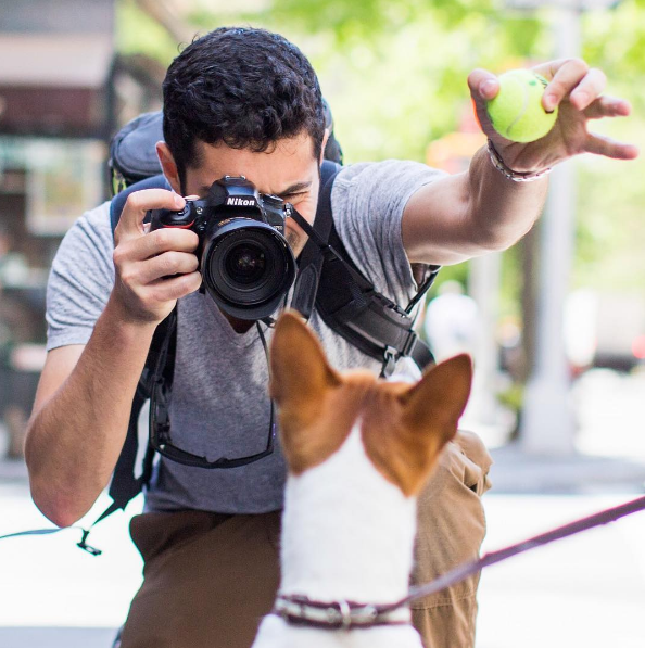 prendre-photo-chien-2