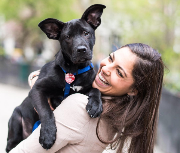 prendre-photo-chien-10