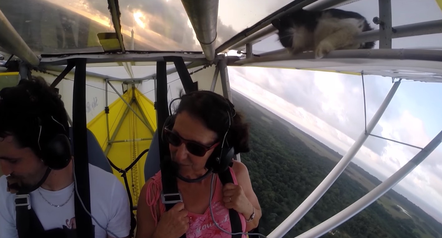 chat-ULM-mascotte-vol-9