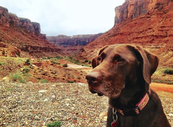 bella-robert-cancer-road-trip-9